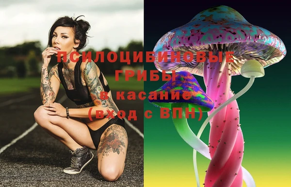 хмурый Надым