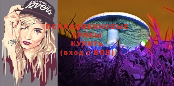 прущий лед Навашино