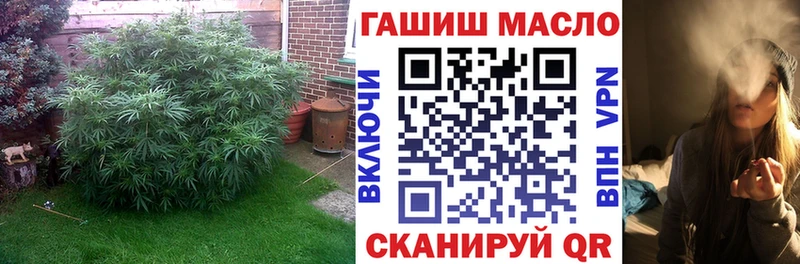 ТГК THC oil  Ленинградская 