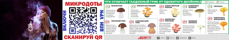 Галлюциногенные грибы мухоморы  Ленинградская 